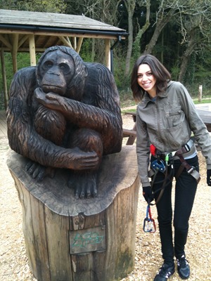 goapestatue