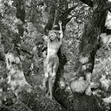 Calendário 2012 - Pirelli