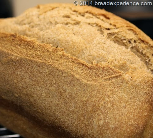 whole-grain-spelt-bread2_27