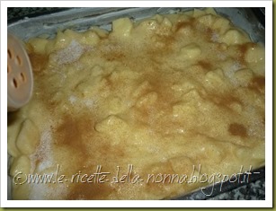 Torta di mele e cannella (5)