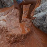DSC_0725.JPG