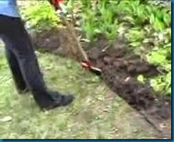 edging edging