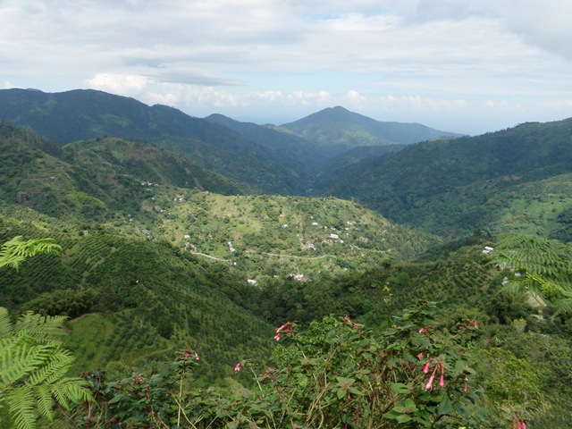 [portantonio0072.jpg]