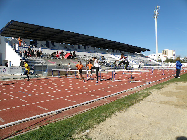 P1070704.JPG