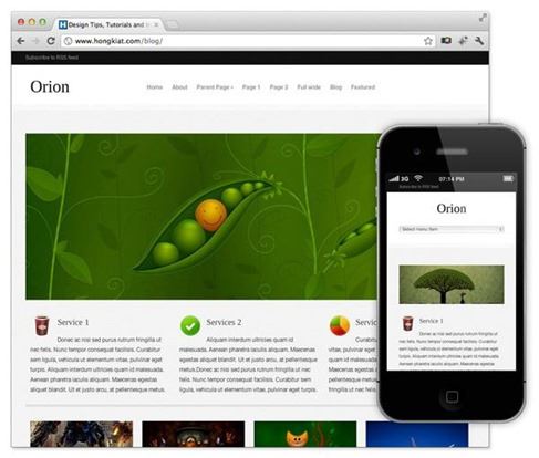 orion-theme-wordpress