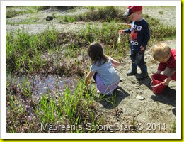 IMG_3204 IMG_3204