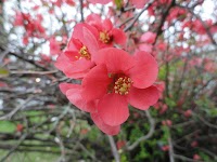 DSC03406.JPG