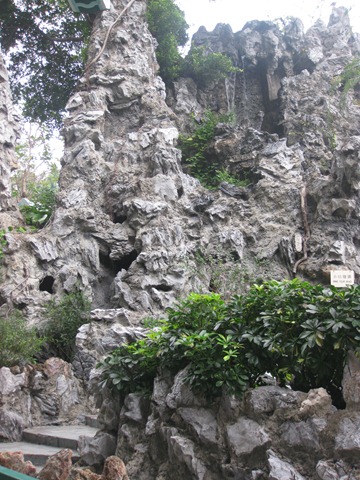 [imgi_0098403.jpg]