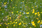 DSC03591.JPG