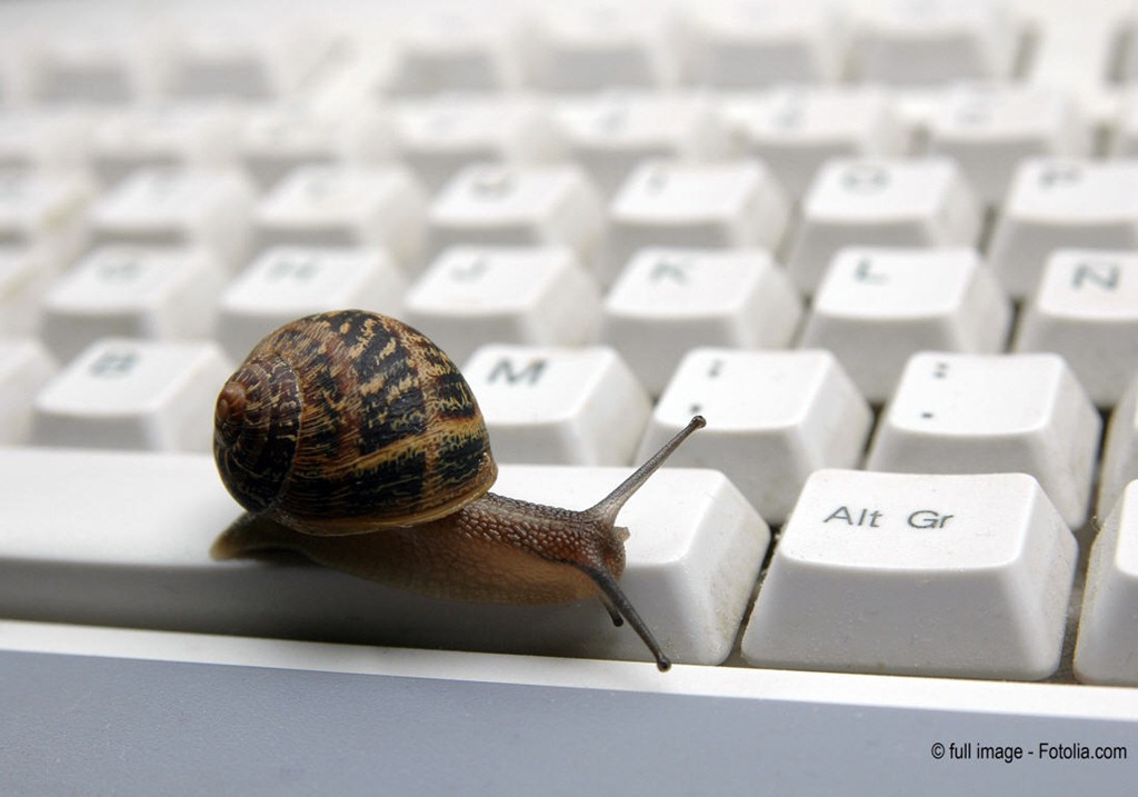 [Snail-Computer3.jpg]