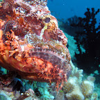 P4080042.JPG