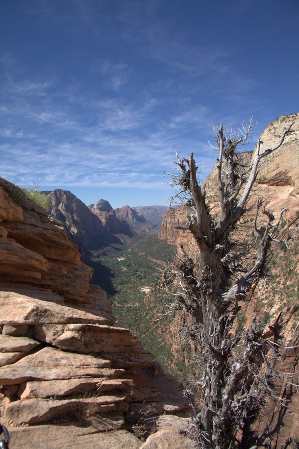 Looking Down Zion Canyon