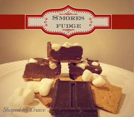 SmoresFudgeFinal SmoresFudgeFinal