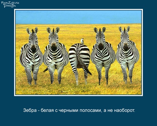 [clip_image022%255B3%255D.jpg]