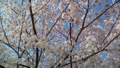 2015-04-02 08.12.31.jpg