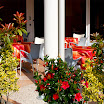 La terrazza (bar) posta all\'ingresso