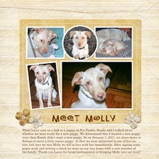 3-MeetMolly-copy