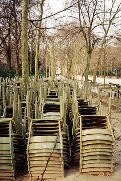 Film-38-31