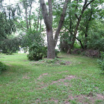 110.JPG