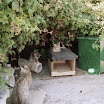 1998 (2).jpg
