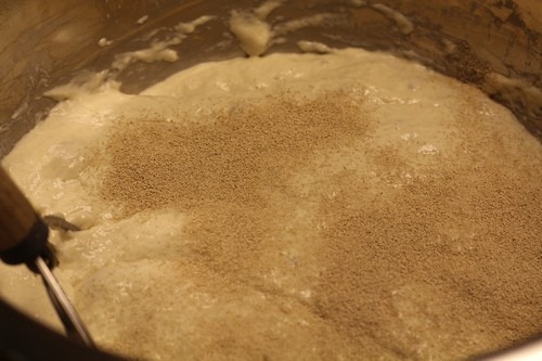 sourdough-bagels005
