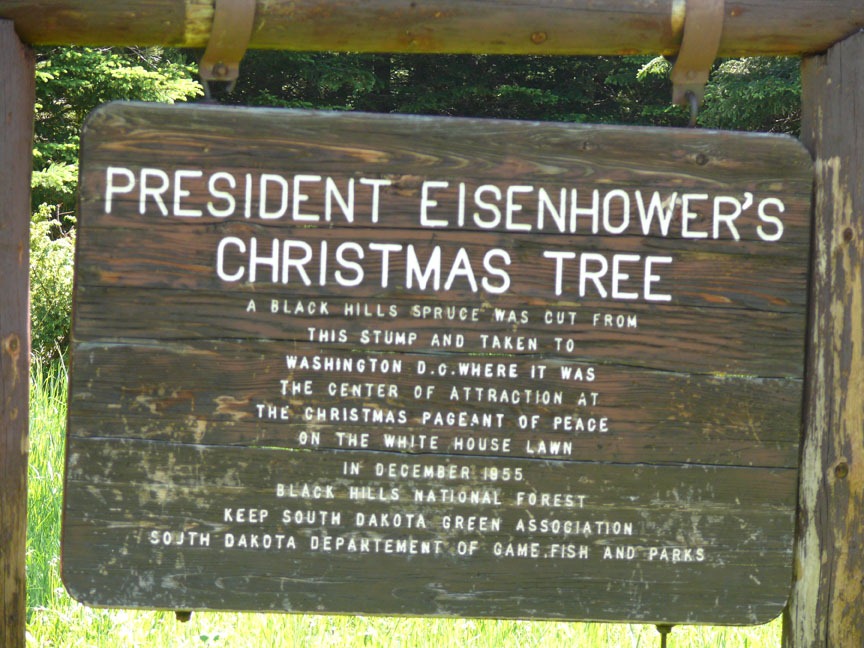 [Ike%2527s%2520Xmas%2520Tree%255B5%255D.jpg]