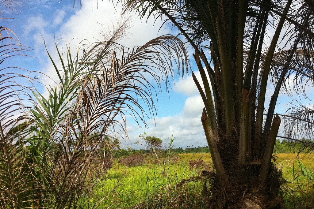 [ouidah01%255B3%255D.jpg]