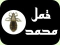 قمل محمد