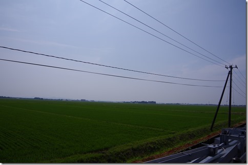 IMGP4084 IMGP4084