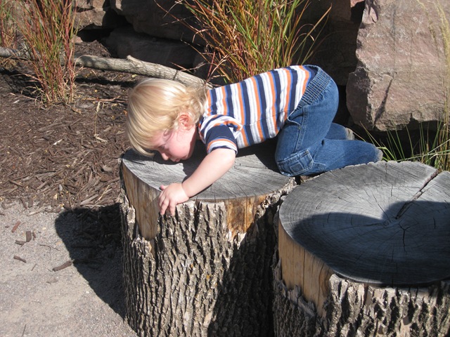 [IMG_7747%255B3%255D.jpg]