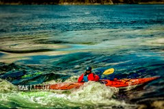 (c)Worldwildadventures-3823