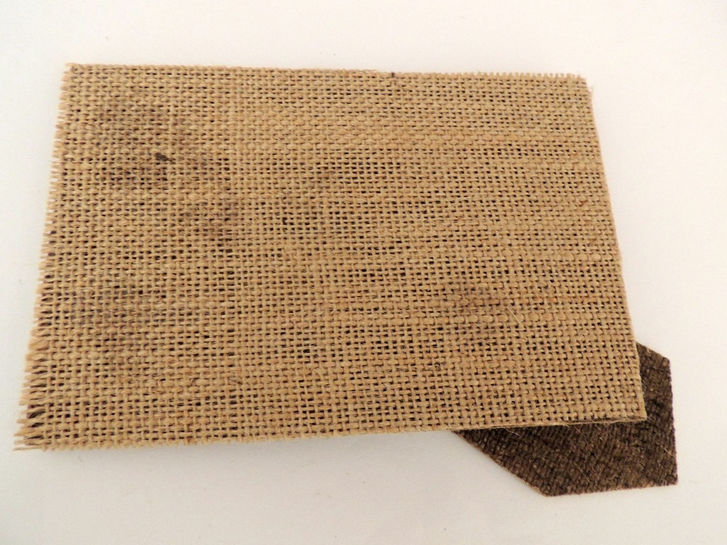 [DSCN2130%255B3%255D.jpg]