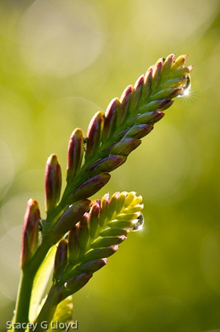 [Blog_20110710_1%255B3%255D.jpg]