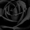 IMG_2820-1.JPG