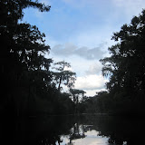 Two OClock Bayou Paddle July 14, 2012 - IMG_0053.JPG