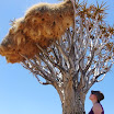 DSCF0560.JPG
