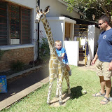 Riding the giraffe