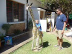 Riding the giraffe