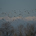 20120121_135214
