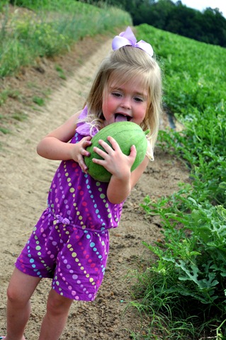 [watermelons%2520coming%2520on%2520051412%2520%252830%2529%255B3%255D.jpg]