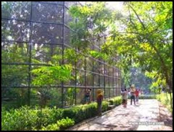 kebun pembibitan kebun pembibitan
