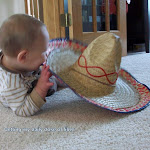 misadventures of Mason 013.JPG