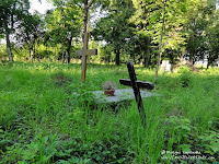 Cmentarz przy ul. Samotnej w Poznaniu