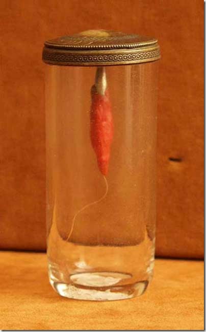 Волос Мухаммеда