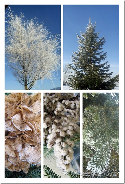 Winter Winter