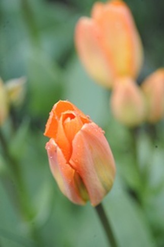20120425_082429