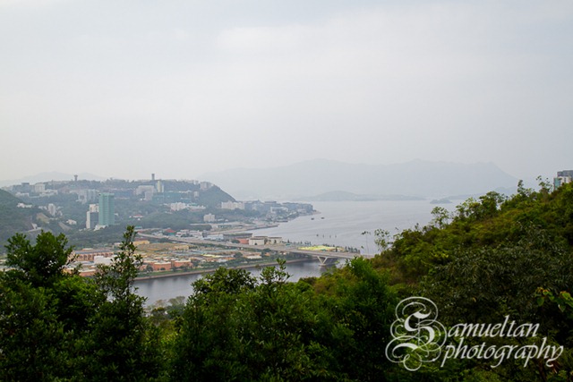 IMG_9323 IMG_9323