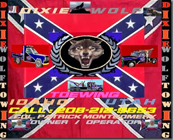 dxe wolf official logo