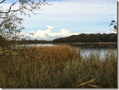 IMG_2340 IMG_2340