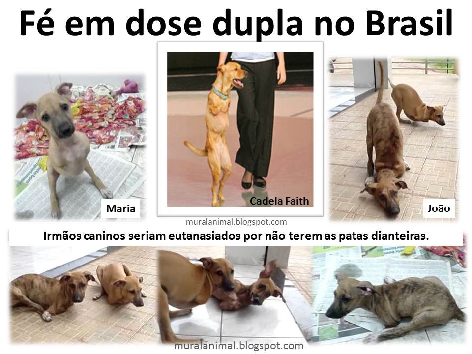 [fedosedupla%255B3%255D.jpg]